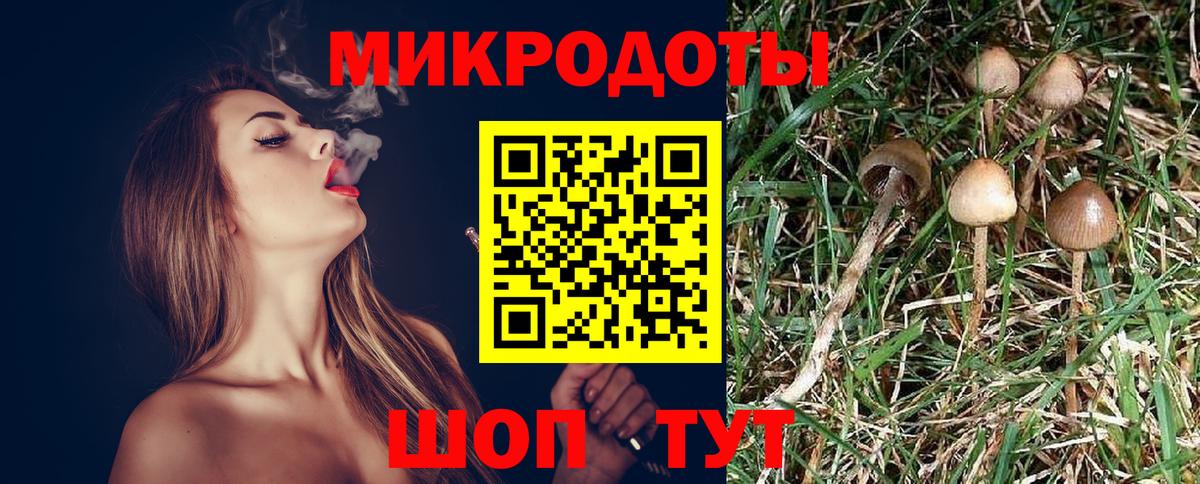 Псилоцибиновые грибы Cubensis  дарнет шоп  Вход с VPN  Екатеринбург  Псилоцибиновые грибы GOLDEN TEACHER 