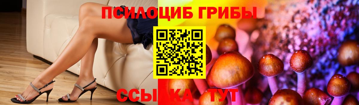 Галлюциногенные грибы Cubensis Екатеринбург